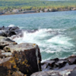 Meet your Posher, Tanya